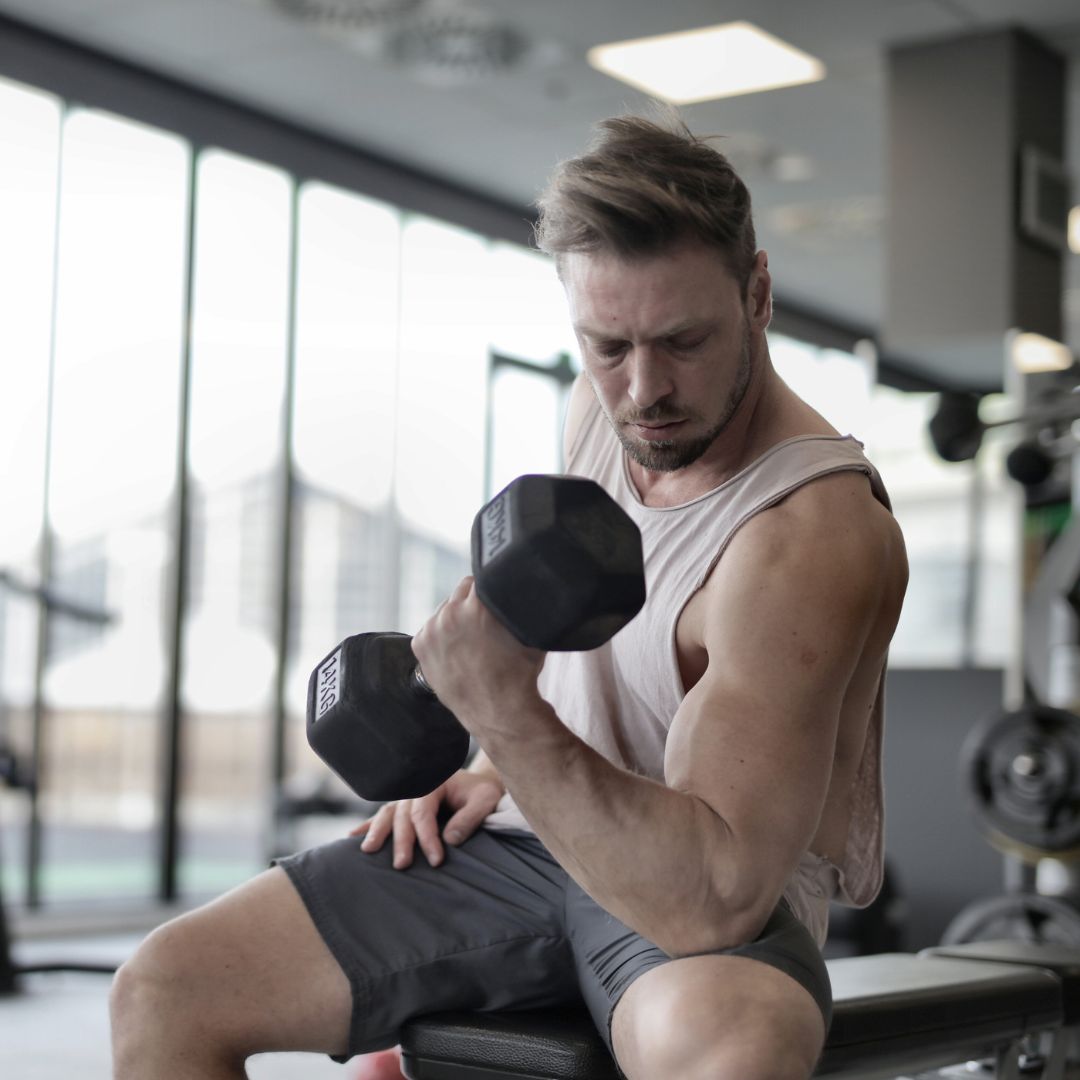 Musculación